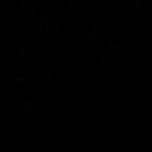 Meet your Posher, Jesus